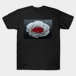 Red And White Rose With Raindrops, Macro Background, Close-up T-Shirt